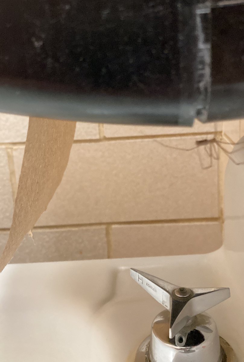 LovelessParody's tweet photo. How am I supposed to dry my hands? https://t.co/QOztobSJES