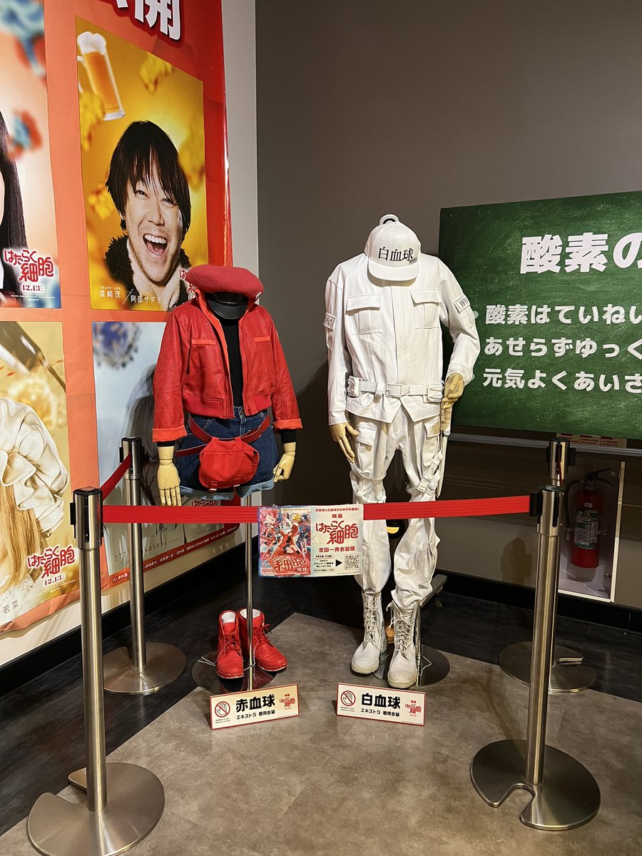 各地でたくさん見かけて幸せ💕
衣装展示も滑り込みで見に行けた✨

#はたらく細胞みーつけた
#映画はたらく細胞