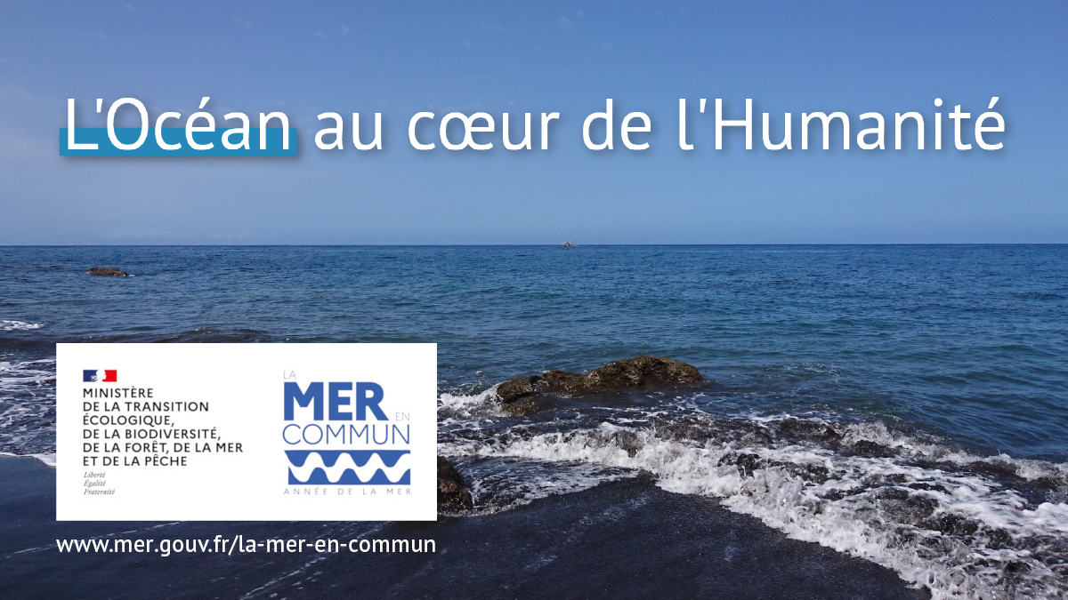 🌊Le #MOOC "L' #Océan au cœur de l'Humanité"
vient d'être labellisé "La Mer en Commun" dans le cadre de l' #AnnéeDeLaMer ! #label
👉Découvrez la richesse de ce MOOC fun-mooc.fr/fr/cours/locea…