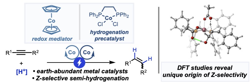 Amazing collaborators, unexpected mechanisms, and access to stilbenoid natural products. Voltage-controlled catalysis using redox mediators continues to unlock exciting space in electrosynthesis. Congrats to the whole team! #chemtwitter