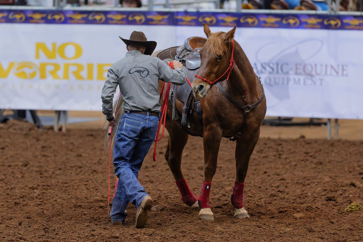DownunderHorse's tweet photo. We're looking for horses for Clinton and our clinicians to work with at our Walkabout Tour in Memphis, TN, March 15 & 16➡️ https://t.co/xNKJfm8PVt
#ApplyTheMethod #WalkaboutTour https://t.co/2tM9yrewZt
