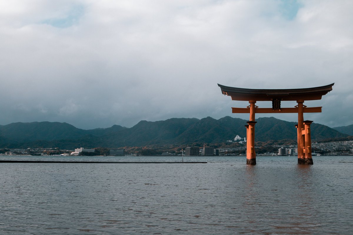cinematicheight's tweet photo. When in Japan 📸 https://t.co/evqv2l439A