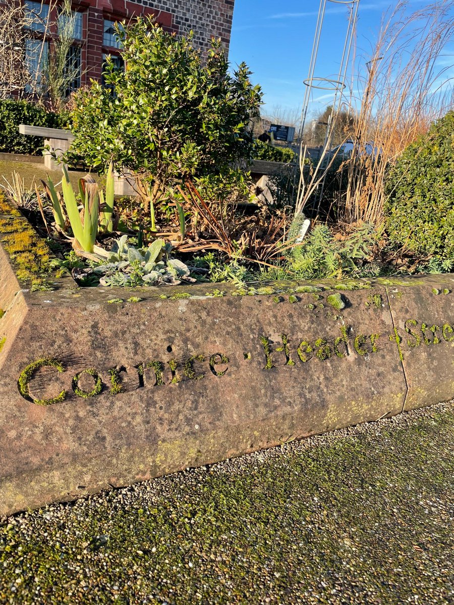 OrdsallHall's tweet photo. Have you ever noticed these words carved into the stone around our south garden? 

They're all significant to the fabric of the building. We absolutely love how nature is taking over and they're sprouting moss!😍

#moss #ordsallhallgardens #organicgardens #ordsallhall #naturelead https://t.co/kGMlIC6fvm