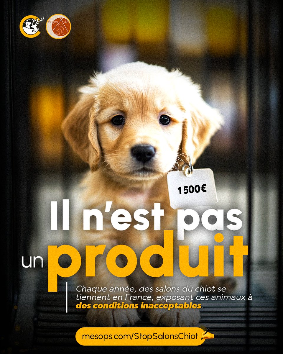 Argos 42 <a href="/argos42_/">ARGOS 42 ASSO</a>  demande l'interdiction des salons du chiot et la promotion de modèles d’adoption responsables via les refuges ✊

Chiots malades, mal sevrés ou issus de trafics y sont vendus, souvent pour finir abandonnés ❌🐶

Signez ici
➡️ mesops.com/StopSalonsChiot ✍️