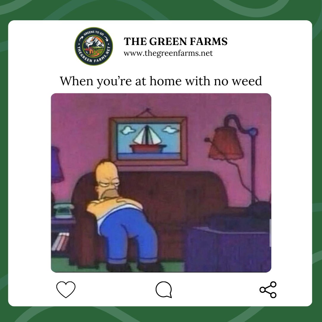 the_green_farms's tweet image. When you’ve checked every drawer, pocket, and that ‘secret stash spot’… still nothing.
#thegreenfarms #canadawideshipping #BCfarms #weedlovers #cannabisclub #cannabisindustry #cannabiscommunity #cannabisculture #weed #weedmob #420friendly #stonerfam #420fam #ouieed #Mmemberville