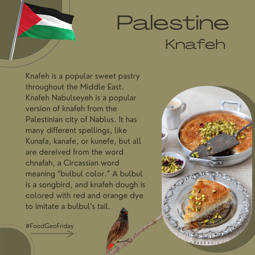 AmericanGeo's tweet photo. #FoodGeoFriday Knafeh is a Palestinian pastry made from shredded phyllo dough, stretchy white cheese, and pistachios, topped with sugar syrups flavored with rose water or orange blossom. It is sweet with a buttery, crunchy dough, creamy cheese filling, with aromatic notes. https://t.co/ndBf7FNV7C