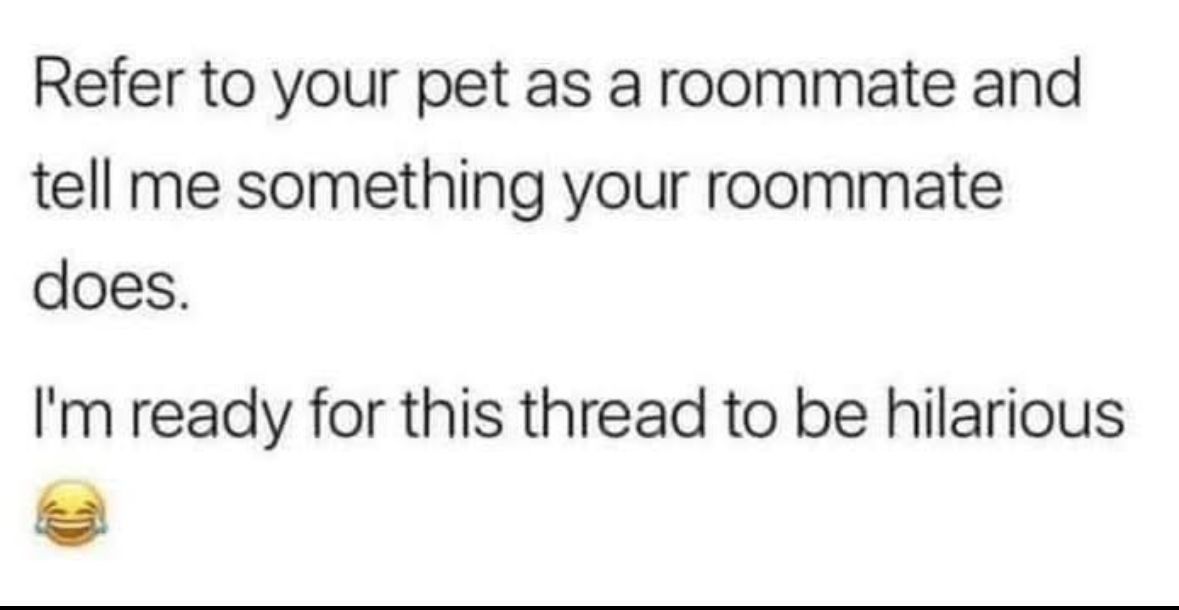 ADHDForReal's tweet image. 