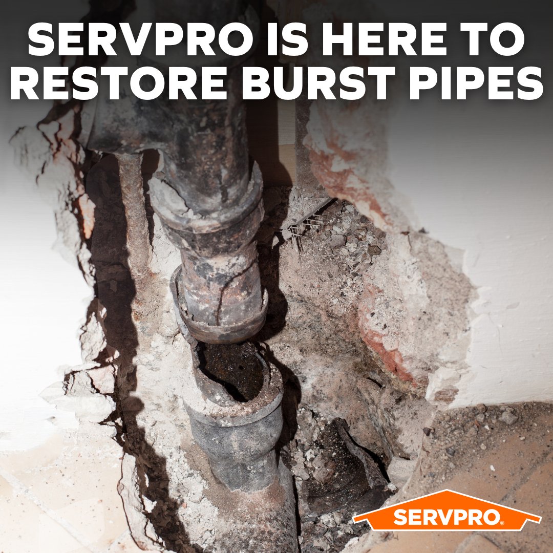 ServproPortJeff's tweet image. Don’t let a burst pipe ruin your day. SERVPRO is ready to step in with expert restoration services—anytime you need us! 💧🏠 #WaterDamageHelp #SERVPROCares #RestorationExperts
