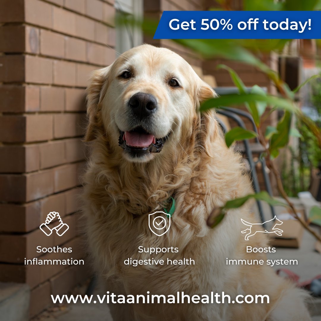 vitapethealth's tweet photo. Have you heard? There is still 50% OFF Omniflora tablets!

Take advantage of the offer now and stock Omniflora in your practice today by visiting our website 🔗 https://t.co/XaFdT7N6Ea https://t.co/DZY2iCTU7n