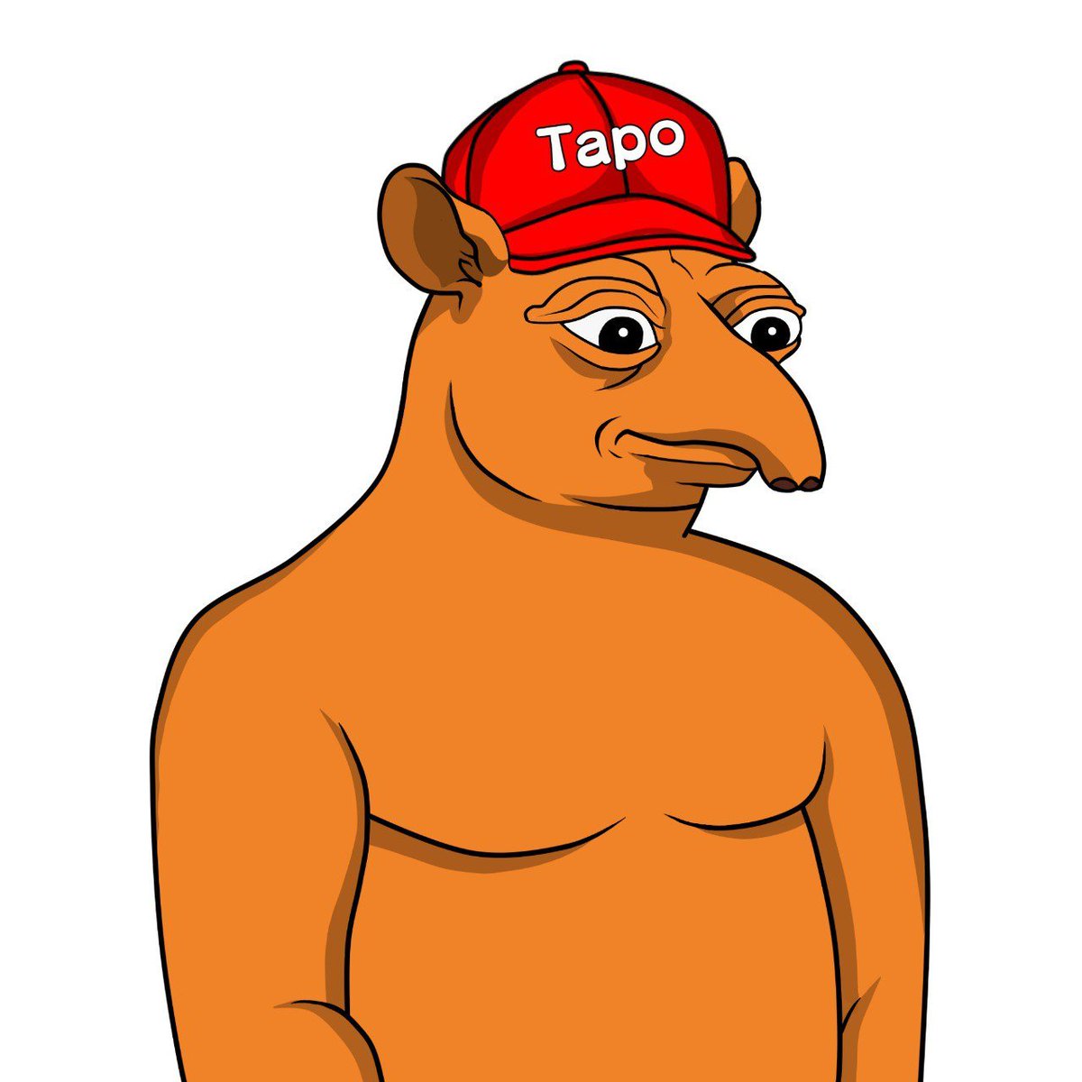 Tapo tweet media