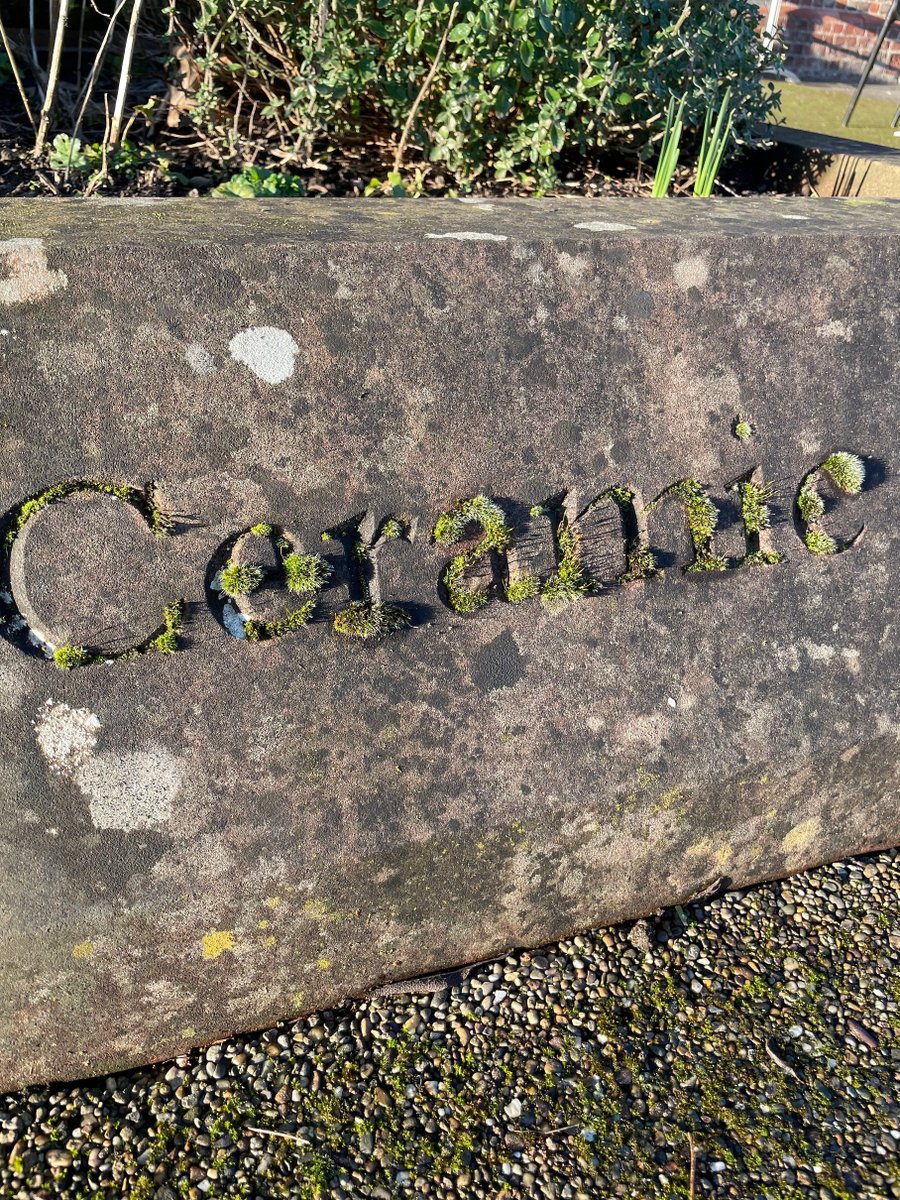 OrdsallHall's tweet photo. Have you ever noticed these words carved into the stone around our south garden? 

They're all significant to the fabric of the building. We absolutely love how nature is taking over and they're sprouting moss!😍

#moss #ordsallhallgardens #organicgardens #ordsallhall #naturelead https://t.co/kGMlIC6fvm