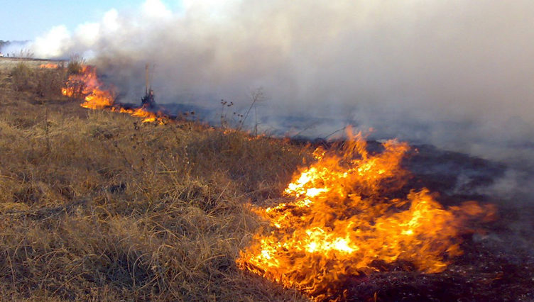 #Ahora
INCENDIO DE PASTURAS EN CAMPOS DE LA ZONA DE CAMINO PASO DE CALLEROS
Hace momentos tomaron fuego pasturas de campos ubicados en zona del Camino Paso de Calleros cercanos a la Escuela Rural N° 90.
Trabaja personal de bomberos.
(Foto de archivo, ilustrativa)