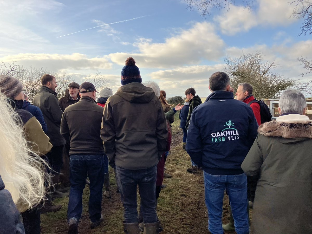 Andrea Meanwell tweet media