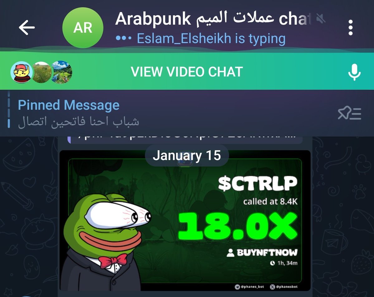 arab punks tweet media