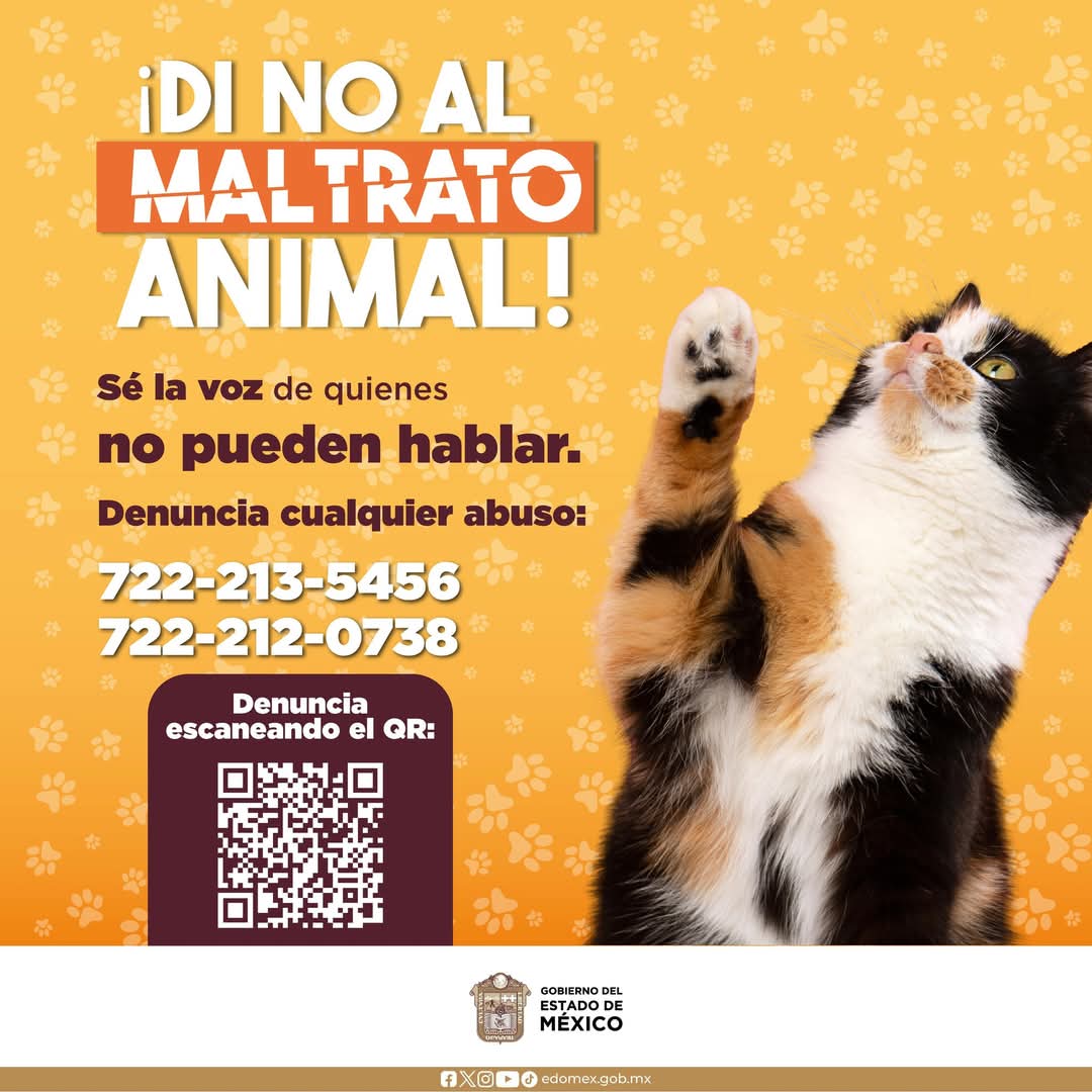 🐾 ¡DI NO AL MALTRATO ANIMAL! 

Los animales no pueden hablar, pero tú sí. 📢 Sé su voz y denuncia cualquier abuso.

📞 Llámanos:
📍 722-213-5456
📍 722-212-0738

📲 También puedes denunciar escaneando el QR de la imagen.
 #NoAlMaltratoAnimal #Edomex #Tlalnepantla #NuestraCiudad