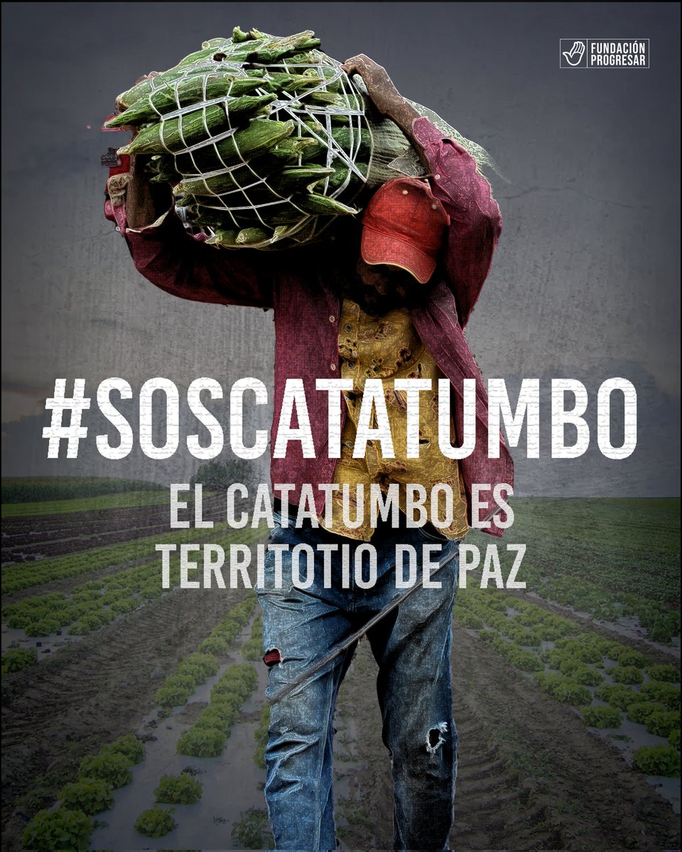 Fundación Progresar tweet media