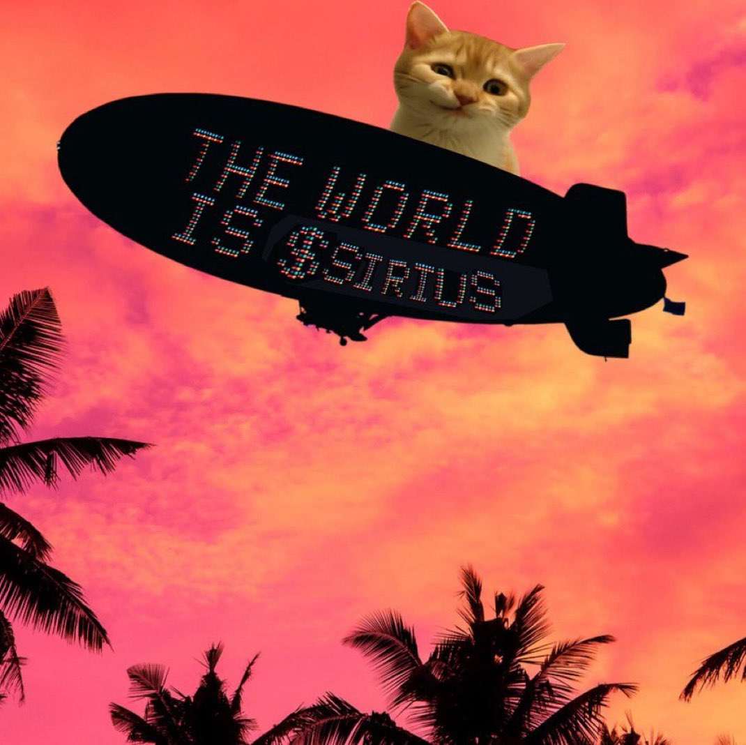 Mr. First tweet media