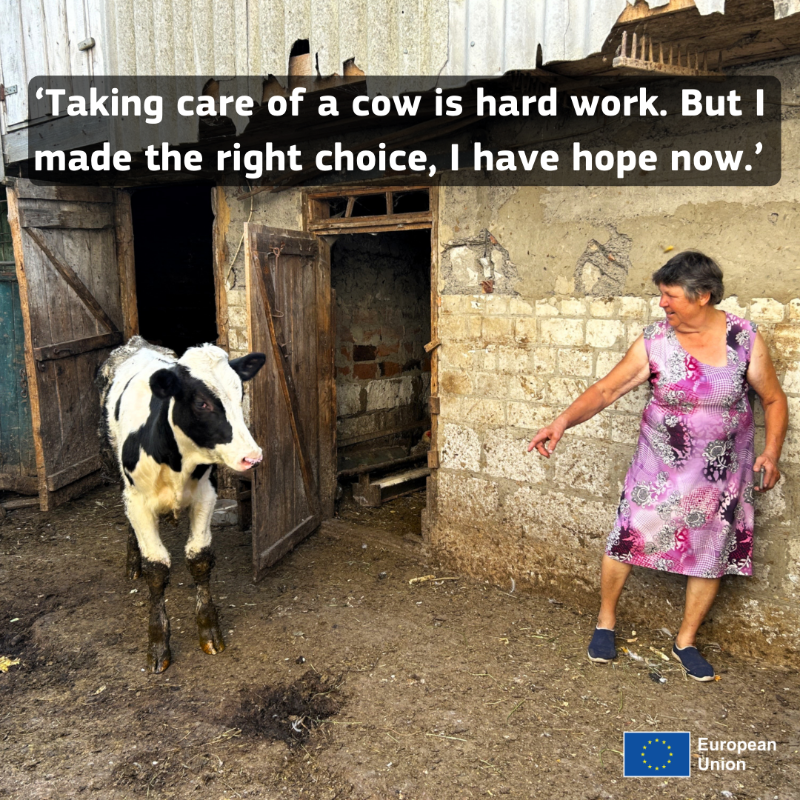 eu_echo's tweet photo. A war, a cow, and unwavering resilience: this is Valentyna's story.

When shelling reached Chernihiv, she risked her life to care for her cow, Vyshnia. 

After losing her, the EU and @actedukraine helped her rebuild – and welcome Milka, a spirited “wanderer.” 💙🐄 

Read more ⬇️
