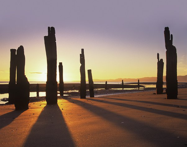 Oppenheimer Ranch Project tweet media