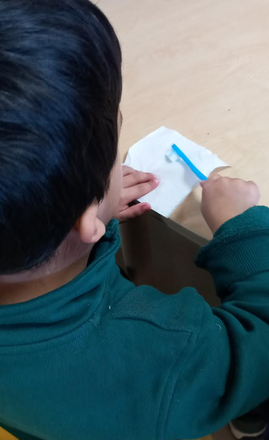 Ladypool Primary 🧡 tweet media