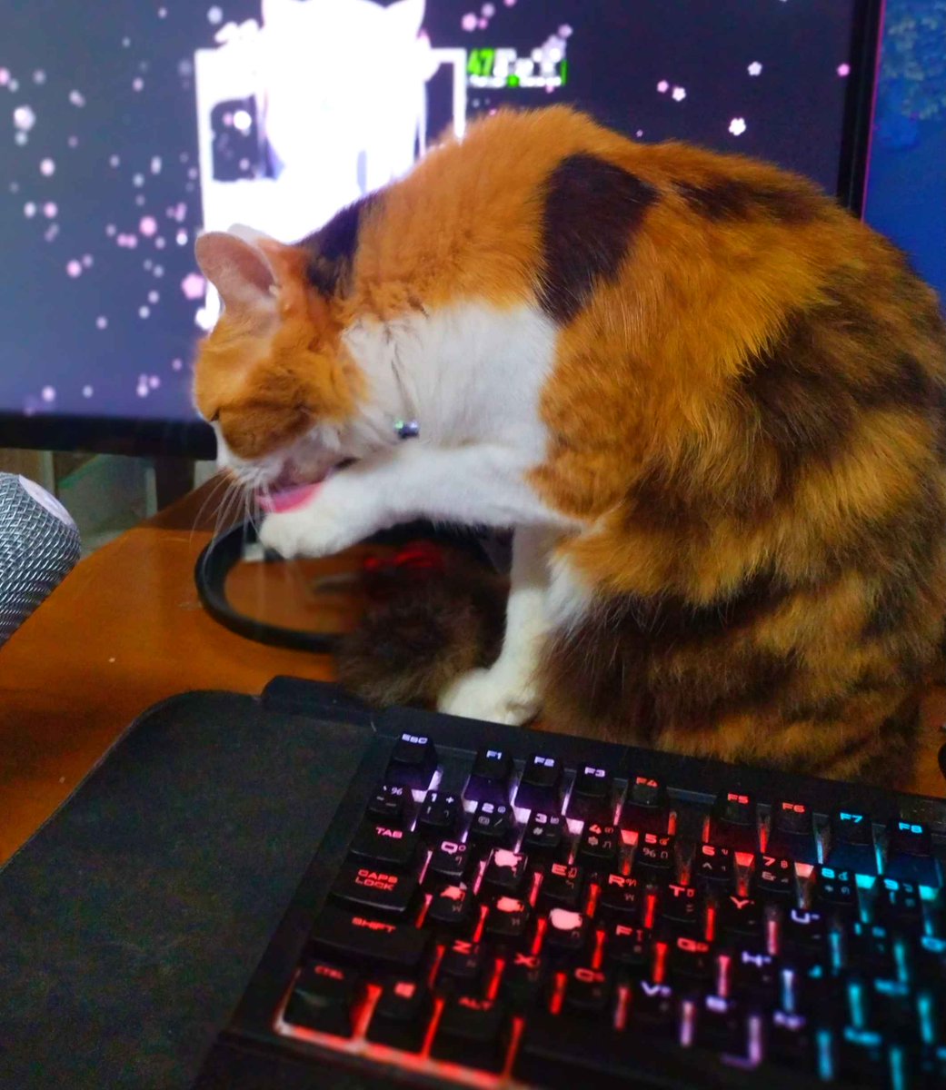 Doublequill 💀 Debut Soon tweet media