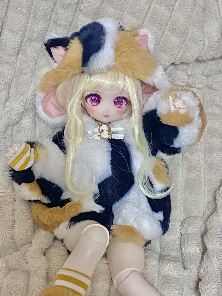 mykarelody's tweet photo. Welcome Luka-chan! My first 1/4 mjd doll to my family 💓💓💓
#ddh #mjd #macoco #TinyFox https://t.co/WggazoVKSy