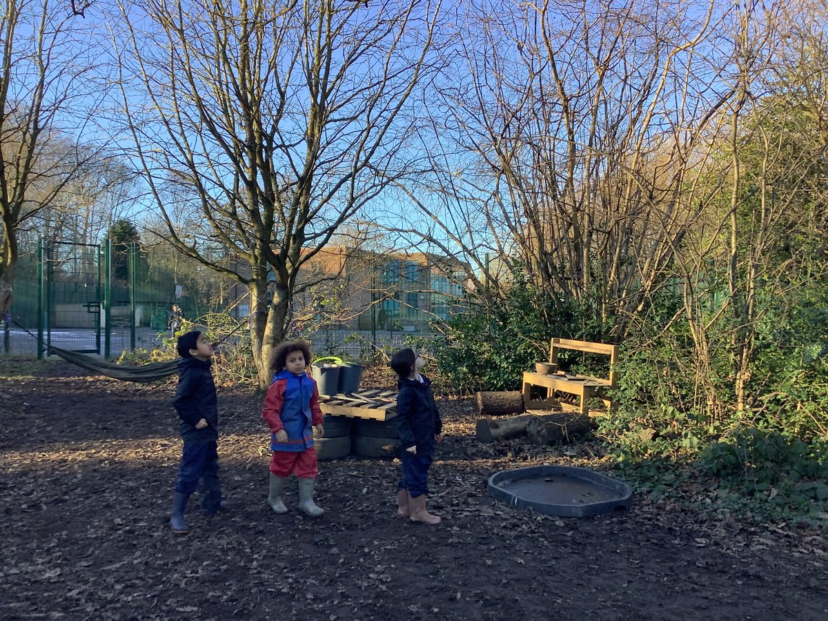 The year 2 children enjoyed looking for signs of birds this week in Forest school. They worked together to make nests and  some children created lovely art work of different birds 🕊️🪹🦉@Stradbrokepri