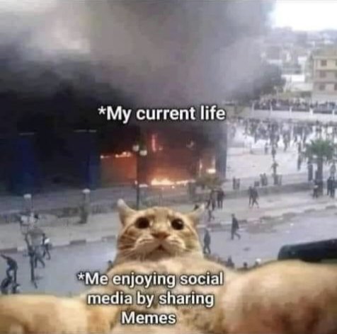 "Masti nai rukni chahiye bas"