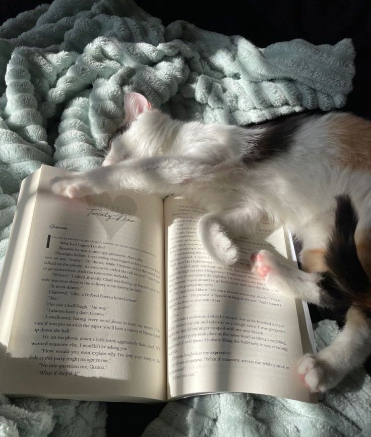 kalicotarot's tweet photo. 𖦹 ׂ 𓈒 🥞 ／ ⋆ ۪ hilo sobre manifestación + experiencia personal y tips Ꮺ ָ࣪ ۰ ͙⊹

by denisse 🍂 

rt + like para más hilos así 🐈 https://t.co/cwI0jmfUUv