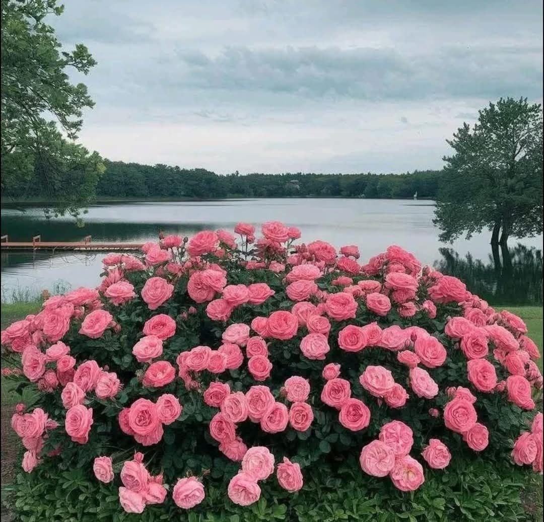 artindetails's tweet photo. beauty is everywhere. https://t.co/HKhWf04e0b
