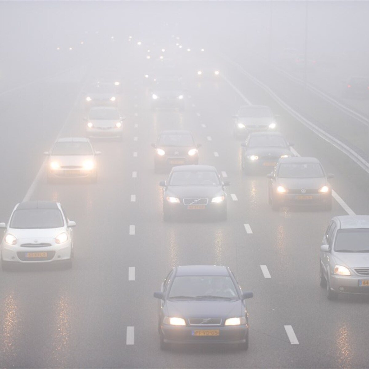 Weginspecteur Rinse tweet media