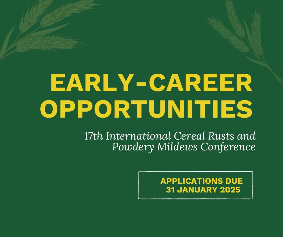 Borlaug Global Rust Initiative (@globalrust) on Twitter photo The 17th International Cereal Rusts and Powdery Mildews Conference <a href="/17thICRPMC/">17th Intl Cereal Rusts & Powdery Mildew Conference</a> offers amazing opportunities for early-career researchers to share their research with the agricultural community.
Deadline to apply is 31 January 2025. Don't miss out!
icrpmc2025.ca/conference-awa… The 17th International Cereal Rusts and Powdery Mildews Conference <a href="/17thICRPMC/">17th Intl Cereal Rusts & Powdery Mildew Conference</a> offers amazing opportunities for early-career researchers to share their research with the agricultural community.
Deadline to apply is 31 January 2025. Don't miss out!
icrpmc2025.ca/conference-awa…