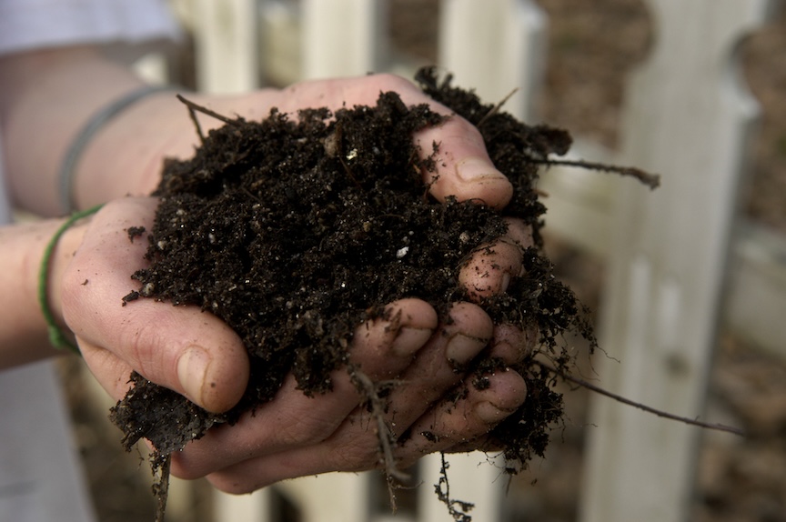 Doug Oster (@dougoster1) on Twitter photo Compost happens! Here's my latest for <a href="/PghEarthDay/">Pittsburgh Earth Day®</a>, all about the benefits of gardening organically with a deep dive on composting.
Who out there has a compost pile?
pittsburghearthday.org/composting-dos…
#GardeningTwitter #compost #organic Compost happens! Here's my latest for <a href="/PghEarthDay/">Pittsburgh Earth Day®</a>, all about the benefits of gardening organically with a deep dive on composting.
Who out there has a compost pile?
pittsburghearthday.org/composting-dos…
#GardeningTwitter #compost #organic