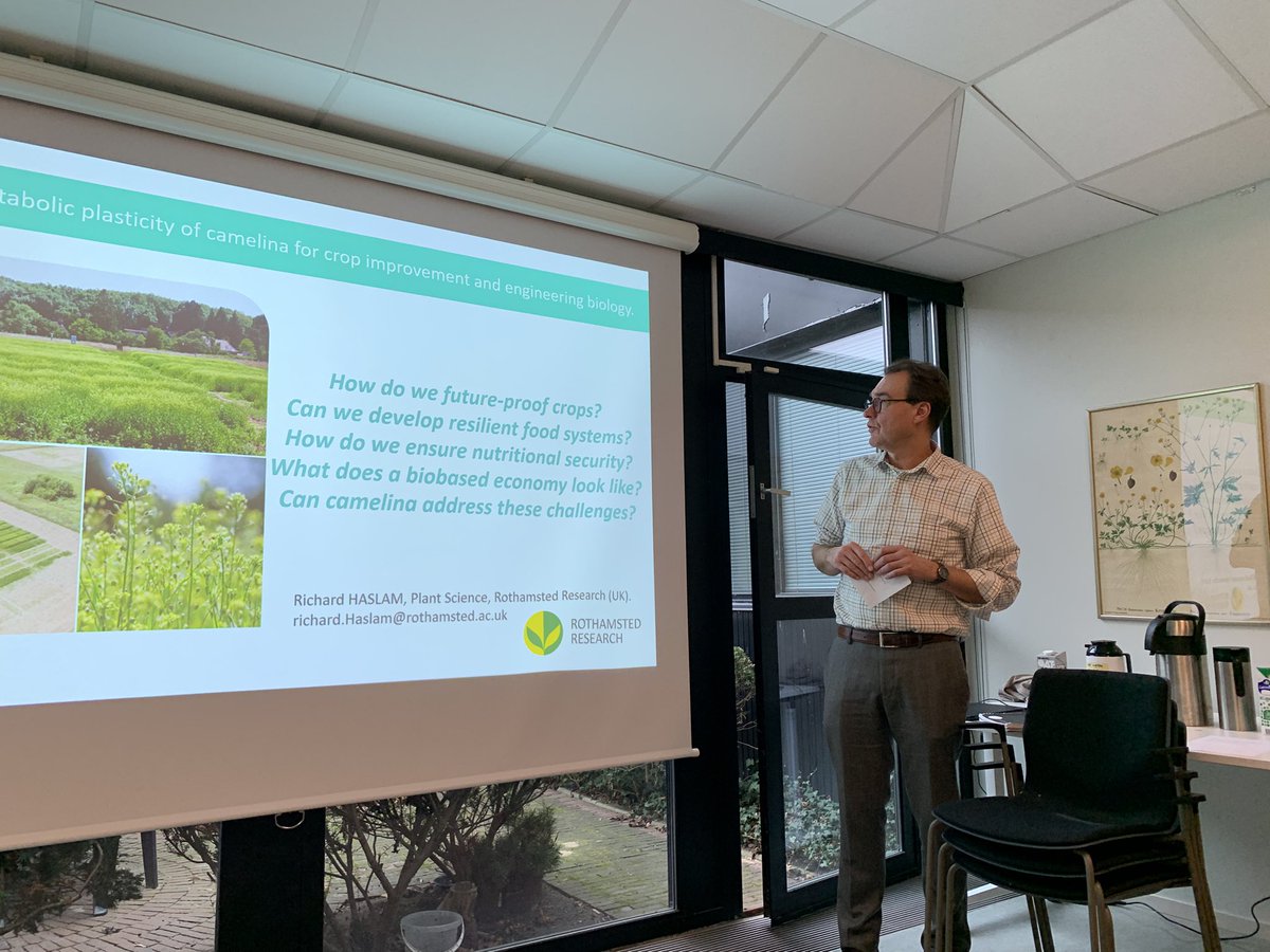 Rui Guan tweet media