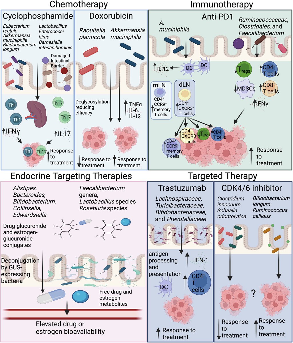 EMBO Mol. Medicine (@embomolmed) on Twitter photo Do not miss the review by K. Cook and colleagues <a href="/KLCookLab/">Katherine L. Cook</a> <a href="/wakeforestmed/">Wake Forest University School of Medicine</a> that discusses the role of #GutMicrobiota in #BreastCancer therapeutic outcomes!
🗞️doi.org/10.1038/s44321… Do not miss the review by K. Cook and colleagues <a href="/KLCookLab/">Katherine L. Cook</a> <a href="/wakeforestmed/">Wake Forest University School of Medicine</a> that discusses the role of #GutMicrobiota in #BreastCancer therapeutic outcomes!
🗞️doi.org/10.1038/s44321…