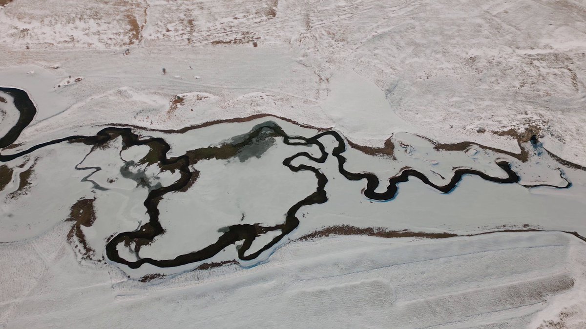 doku_ba's tweet image. Jučer je na FTV-u premijerno prikazan naš film &quot;Polje, pustopolje&quot;.

Osim što je film konačno ugledao svjetlo televizijskog ekrana, drago nam je i što su prvi dojmovi cijenjenog gledateljstva pozitivni.

Ovaj trenutak zaista smatramo bitnim u našim životima.

▶️ Uskoro na YT.