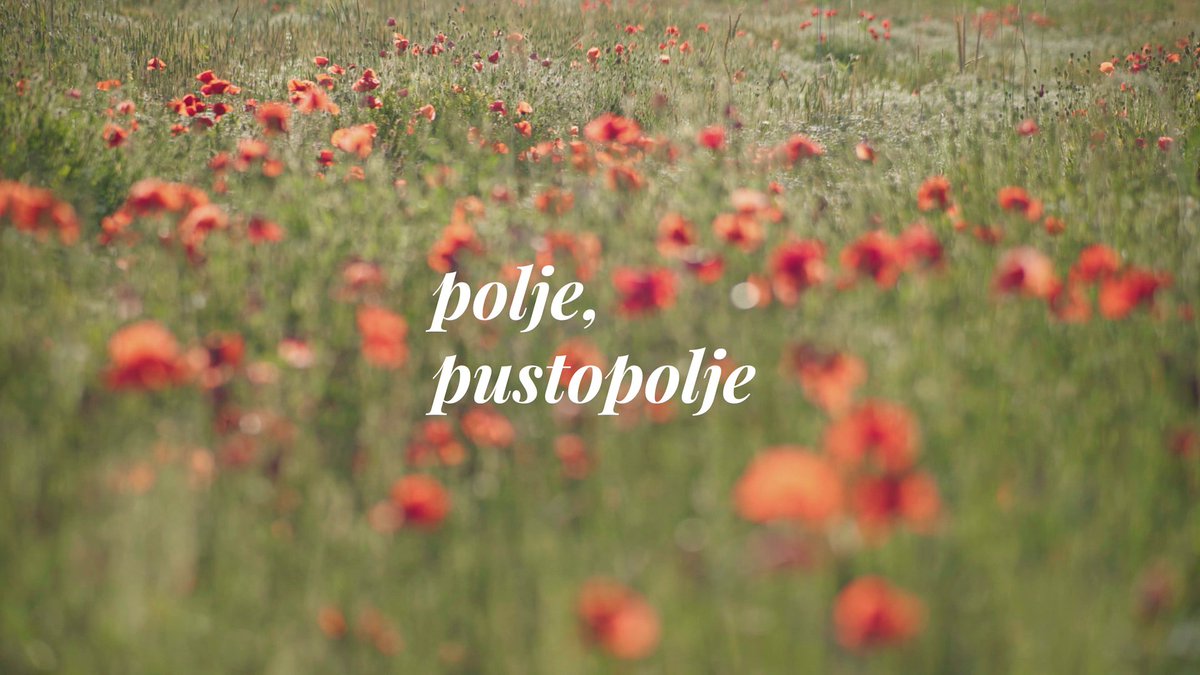 doku_ba's tweet image. Jučer je na FTV-u premijerno prikazan naš film &quot;Polje, pustopolje&quot;.

Osim što je film konačno ugledao svjetlo televizijskog ekrana, drago nam je i što su prvi dojmovi cijenjenog gledateljstva pozitivni.

Ovaj trenutak zaista smatramo bitnim u našim životima.

▶️ Uskoro na YT.