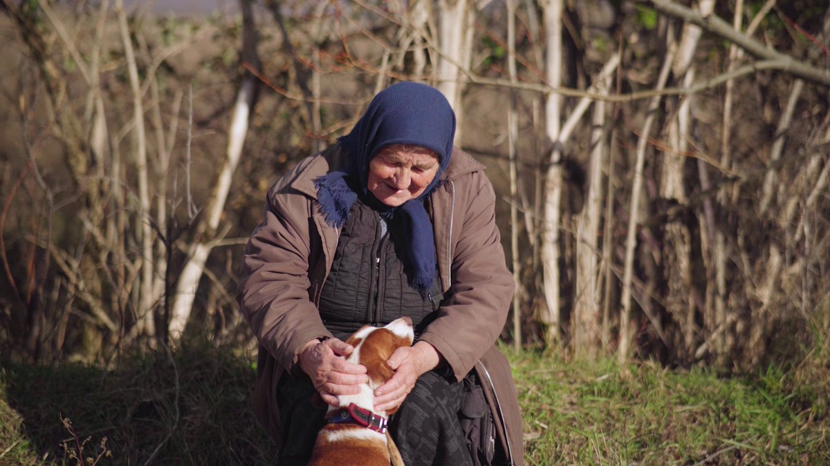 doku_ba's tweet image. Jučer je na FTV-u premijerno prikazan naš film &quot;Polje, pustopolje&quot;.

Osim što je film konačno ugledao svjetlo televizijskog ekrana, drago nam je i što su prvi dojmovi cijenjenog gledateljstva pozitivni.

Ovaj trenutak zaista smatramo bitnim u našim životima.

▶️ Uskoro na YT.