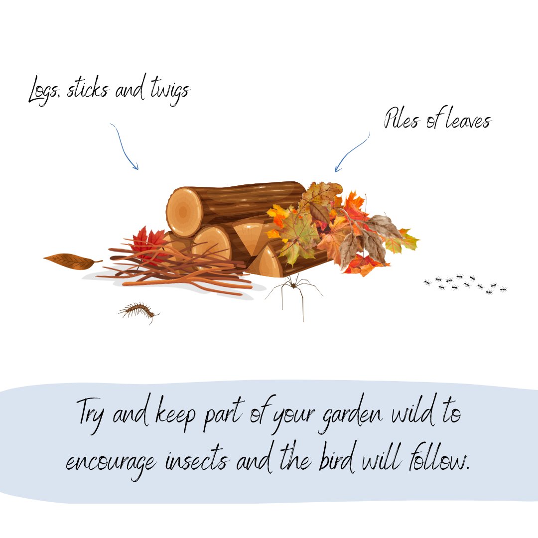 The Land Trust tweet media