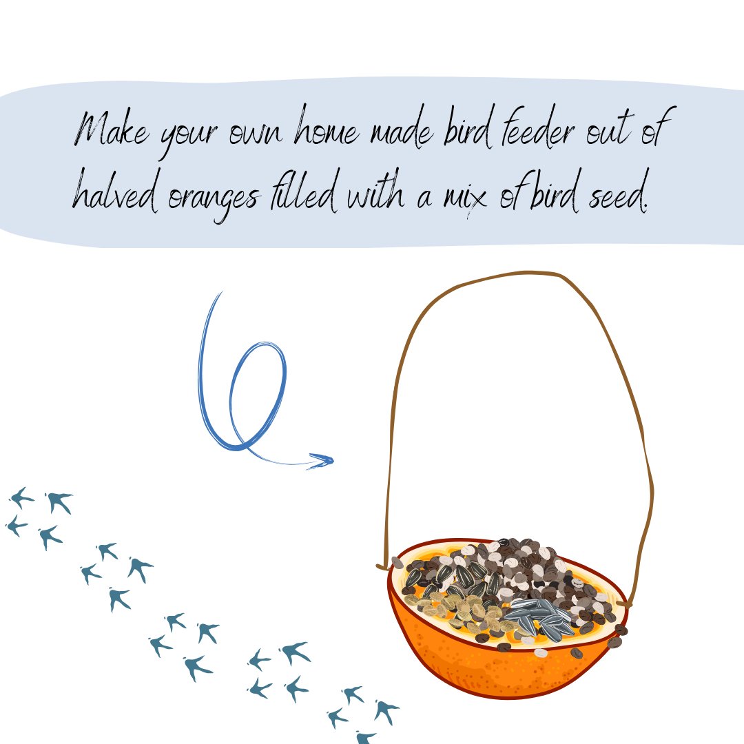 The Land Trust tweet media