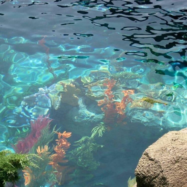 artindetails's tweet photo. serene views https://t.co/5znVEgbVAZ