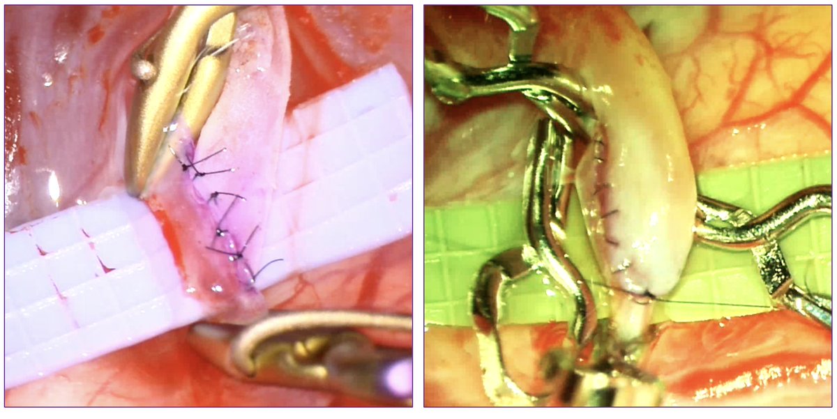 Erez Nossek tweet media