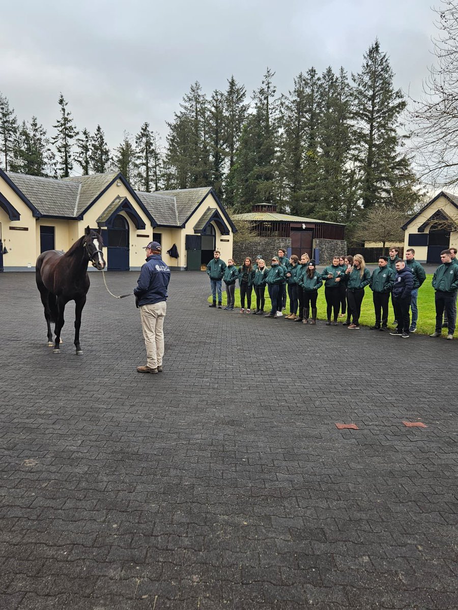 IrishNatStud's tweet photo. Thank you to @Ballydoyle and @coolmorestud for hosting the INS students today! The group had an amazing time and really appreciated the experience 🐎 #Grateful #INS2025 #ThankYou https://t.co/ofmCe3dcOq