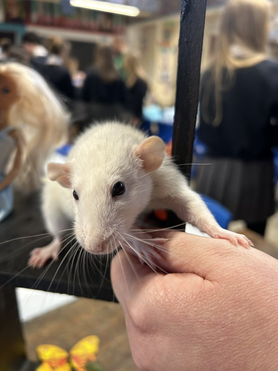 Miss Payet Art tweet media