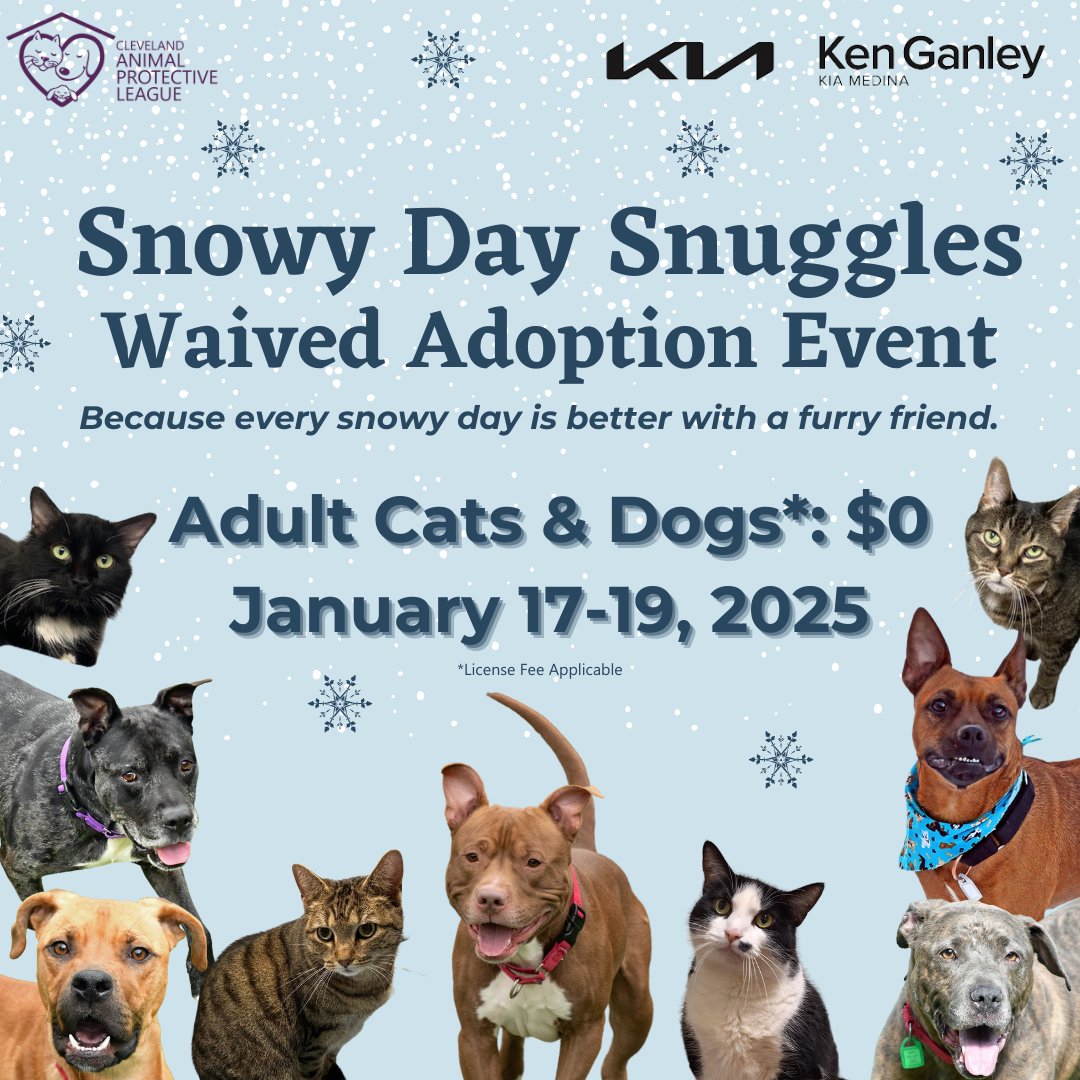 Looking for a furry friend to keep you warm all winter and beyond? Now's the time to adopt! We have so many wonderful cats and dogs looking for their new families. Come on in or check out all of our adoptable animals at bit.ly/3USoYE1!