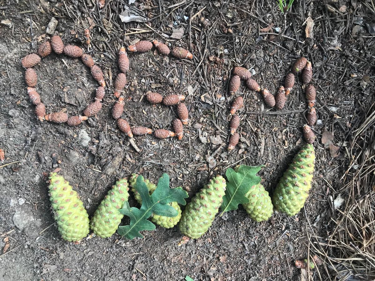 #OrmanMühendisleri olarak artık göreve hazırız sayın <a href="/ibrahimyumakli/">İbrahim Yumaklı</a>