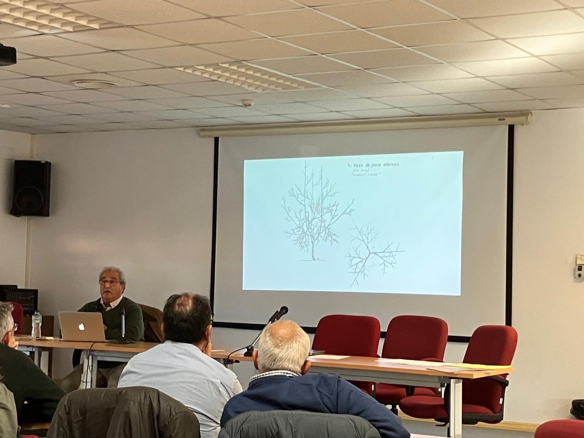 No estamos locos!! Lo que pasa es que tenemos razón!!!
Semana muy intensa con  LA PODA ARAGONESA EN PISTACHO! 
RÁPIDA, ECONÓMICA, FÁCIL Y EFICAZ