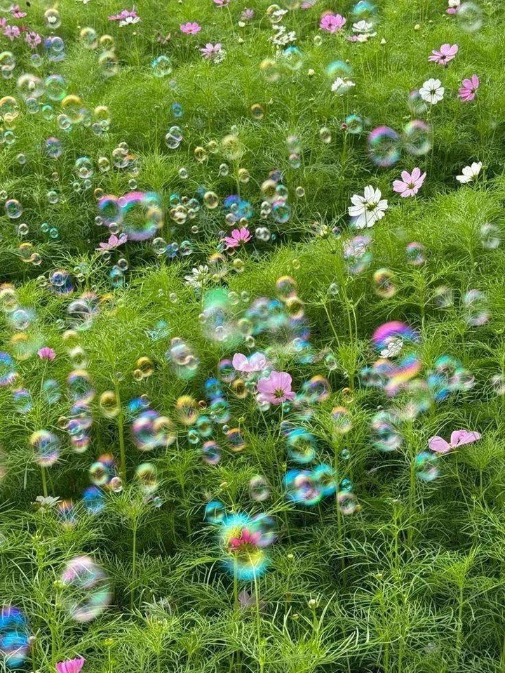 artindetails's tweet photo. finding beauty in the mundane. https://t.co/J0eeaYDgdN