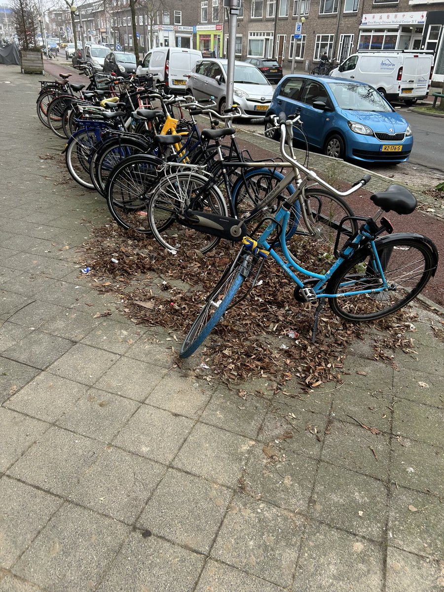bijkees030's tweet photo. Hallo @GemeenteUtrecht Is het mogelijk dat er weer eens een veegploeg langskomt vrijwel alle fietsrekken tussen Rijnland 11 en Rijnlaan 50 vol met bladeren. https://t.co/CWYzbpefDD