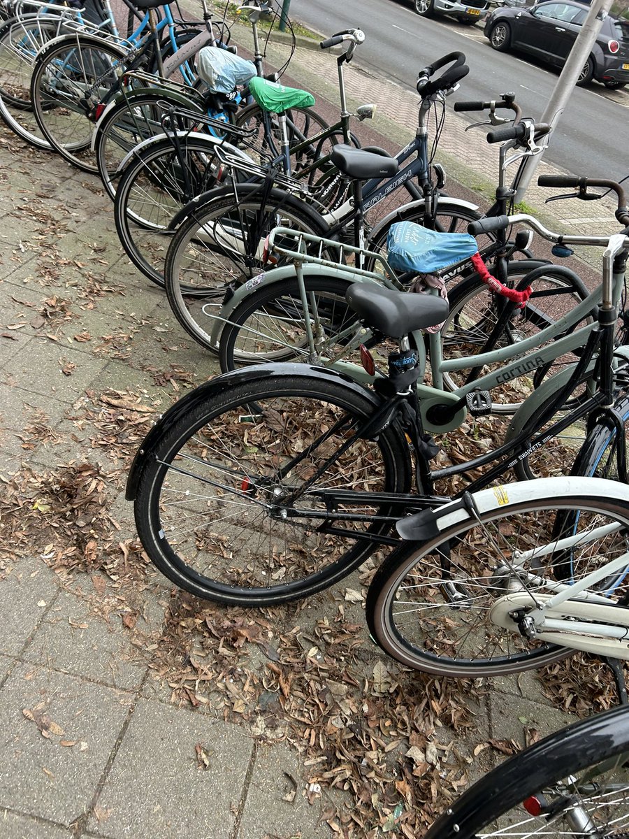 bijkees030's tweet photo. Hallo @GemeenteUtrecht Is het mogelijk dat er weer eens een veegploeg langskomt vrijwel alle fietsrekken tussen Rijnland 11 en Rijnlaan 50 vol met bladeren. https://t.co/CWYzbpefDD
